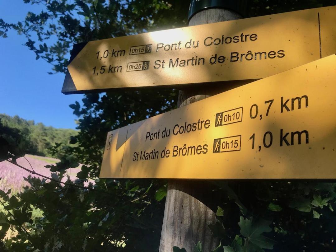 Le Colostre T2 Saint-Martin-de-Brômes Eksteriør billede